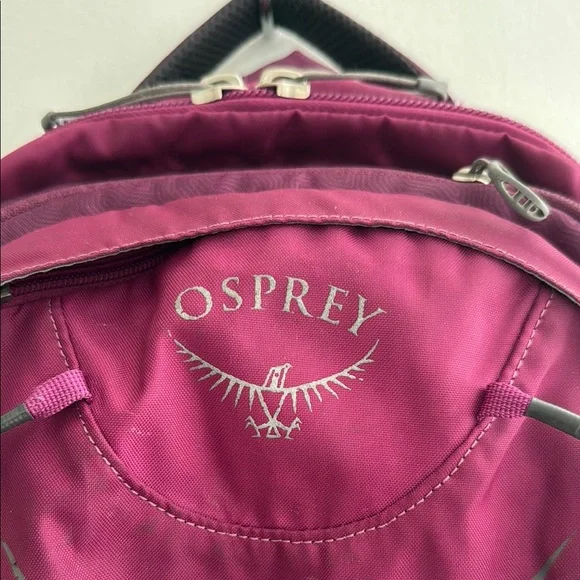 Osprey Axis Backpack in Deep Plum - Picture 6 of 14